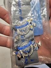 Walt Disney World Lanyard with Pins Brand New (The Year of a Million Dreams) picture