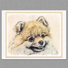6 Pomeranian Orange Pom Blank Art Note Greeting Cards picture
