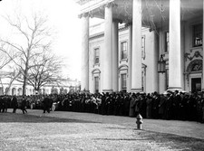 Crowd outside White House ca 1914-1918 Historic Old Photograph picture
