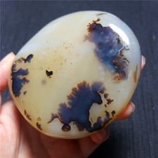 RARE 281 G Natural Polished Aquatic Plants Agate Stone Madagascar YO877 picture