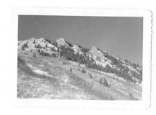 Vintage B&W Snapshot Small Photo Aspen Colorado Hillside View Snow Mountains picture