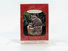 CURIOUS RACCOONS~3RD IN THE MAJESTIC WILDERNESS SERIES~1999 HALLMARK ORNAMENT picture