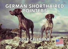 German Shorthaired Pointer Calendar 2027 GSP Monthly Wall Calender 12 Month picture