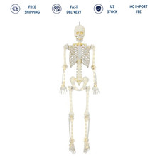Way To Celebrate 5 ft Poseable LED Illuminated Skeleton Halloween Prop picture