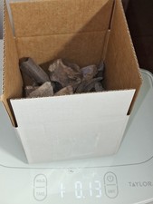 1 Pound Mystery box Of Florida Fossils. Gift, Education, Kids ,Fun, READ DISCRI picture