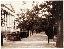 GEORGE WASHINGTON WILSON Cape Town Government Avenue c1895 Photo GWW picture