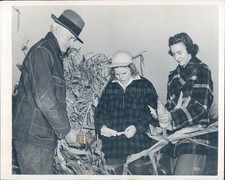 1942 Husking Corn People Vegetables Hats Vintage Original Newspaper Press Photo picture