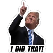 I Did That Stickers 100PCS picture