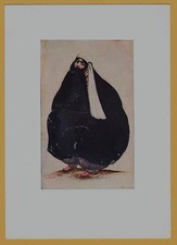 1936 Persia Persian Art XIXc. Woman in Chador Dressing ART Russian postcard old picture