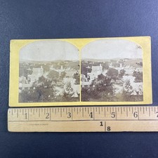 Peterborough New Hampshire Stereoview Townscape 1850s Albumin Print picture