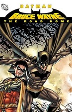 Batman: Bruce Wayne - The Road Home picture