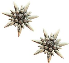 2 x Large Edelweiss Handcrafted From English Pewter Pin Badges TSB-C1 picture