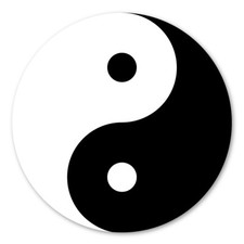 Yin and Yang Magnet picture