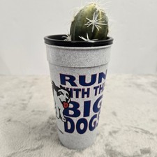 Big Dogs Vintage Stadium Cup Run With The Big Dogs Whirley Grey Speckled T-60 picture