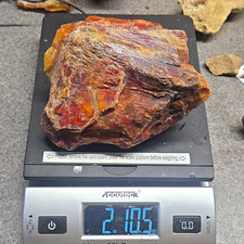 Gorgeous Red And Orange Washington Carnelian Agate Rough Lapidary 2 Lb 10.5 Oz picture