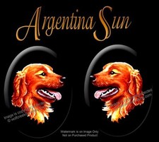 ARGENTINA SUN GOLDEN RETRIEVER JEWELRY SET Earrings Necklace DOG Post PIERCE Pup picture