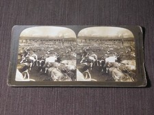 VINTAGE STEREOVIEW STEREOSCOPE CARD 1906 UNION STOCK YARDS CHICAGO USA picture