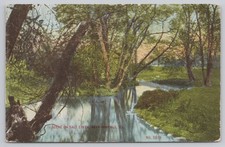 Vintage Postcard Scene on Salt Creek Near Hinsdale Illinois No.5039 picture