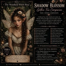 Shadow Blossom • Tier 1 Gothic Fae Spirit Companion • Gentle Dark Fairy picture