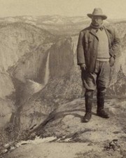 President Teddy Roosevelt 8x10 Photo Grand Canyon of Yellowstone 1903 Portrait picture
