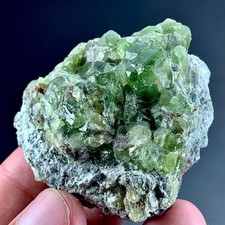 345 CT Terminated Natural Peridot Crystals Bunch SpecimenFrom Pakistan picture