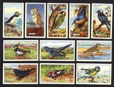 1937 GALLAHER LTD. BRITISH BIRDS 48 DIFFERENT COLLECTOR TOBACCO CARD SET picture