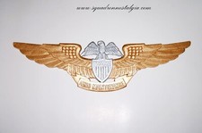 Aero Maintenance Wings picture