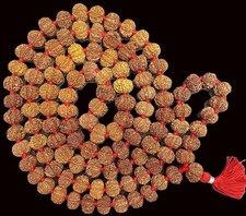 Rare 9 Mukhi Rudraksha Kantha Mala - Durga Shakti Rudraksha Mala - Nepal Beads picture