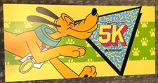 Walt Disney World Run Disney 2022 Weekend 5K 47” x 22