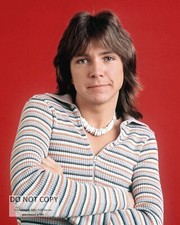 DAVID CASSIDY ENTERTAINER SINGER ACTOR - 8X10 PUBLICITY PHOTO (BT-404) picture