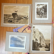 Vintage Lot of 4 Mounted Matted B&W Photograps 1930s 1940s Southwest Painesville picture
