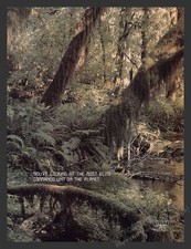 SOCOM U.S. Navy Seals Jungle Video Game 2000s Print Advertisement Ad 2003 picture