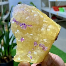 310G Rare yellow purple cubic fluorite mineral crystal sample/Zhejiang, China picture