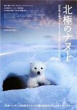 ARCTIC TALE(2007) mini movie poster flyer Japan B5 1sheet picture