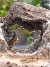 Unique Herkimer 💎 Beautiful 😍  Matrix  Specimen  👁  ❤️  NY   picture