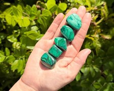 5 Malachite Tumbled Stones: 'A' Grade Natural Polished Crystals picture