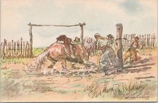 Illustrated PC Argentina Ranching Scene 