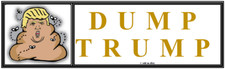 anti Trump: DUMP TRUMP political sticker picture