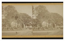 Savannah Georgia Election Scene Standard Postcard picture