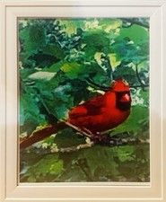 8x10 Red Cardinal In Tree Framed Photography Wall Art picture