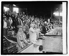 Photo:Harding at Ball Game 1921 Baseball Stadium Crowd Uniforms picture