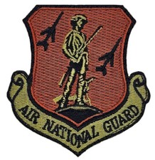 Air National Guard Shield Patch [3.0 inch -Hook Fastener Backing -PA7] picture