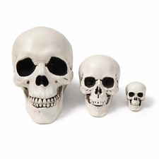 3 pc Halloween Skull Decoration,Realistic Plastic Skull,Head Skeleton picture