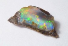 BLACK Opalized Wood from Virgin Valley Nevada Precious Opal 27 carats picture