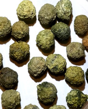 (1-lb LOT) = ( 14 to 20 Uncut Rough Thunderegg Oregon Rocks Geode)Tumbler JoNGD: picture