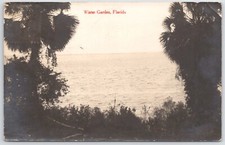 RPPC winter garden florida real photo postcard 1913 picture