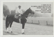 CARRY BACK Stallion Thoroughbred Horse Postcard KENTUCKY DERBY Winner 1961 picture