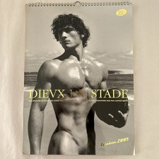 Vintage DIEUX DU STADE 2005 European Rugby Players Wall Art Calender picture