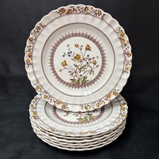 Copeland Spode BUTTERCUP Dinner Plate 10 1/2 Inches picture