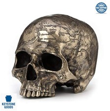 Skull Statue Bronze Finish Pirate Treasure Map Vintage Resin Decor Home picture